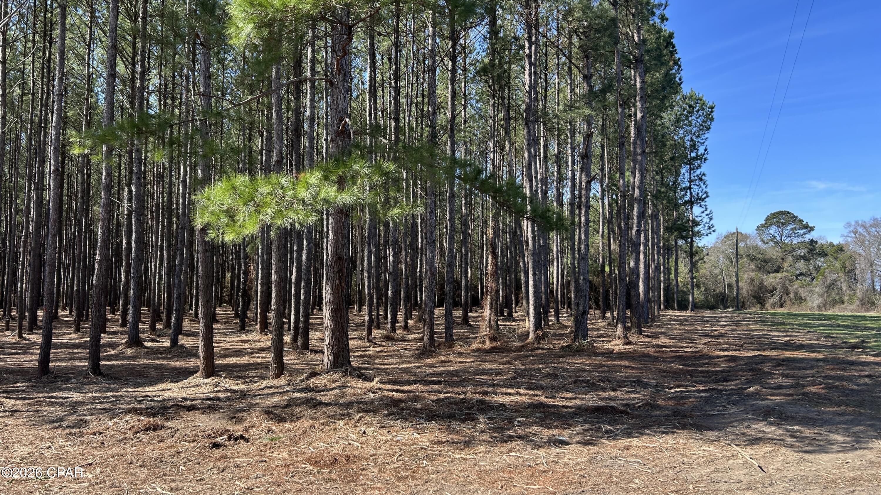 0 Grimes Road, Unit LOT #1 Laurel Hill, FL 32567 - Photo 26 of 27