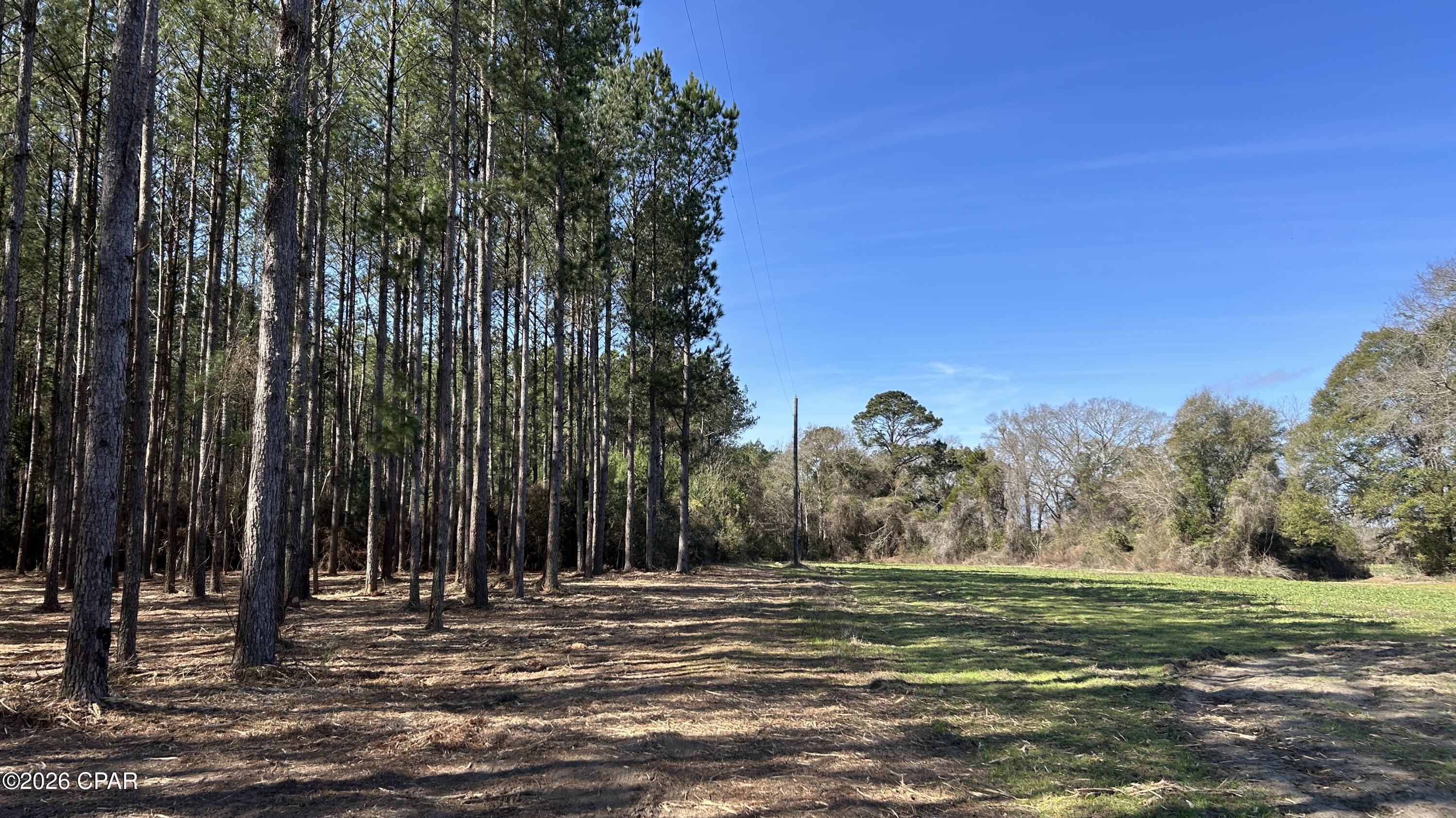 0 Grimes Road, Unit LOT #1 Laurel Hill, FL 32567 - Photo 3 of 27