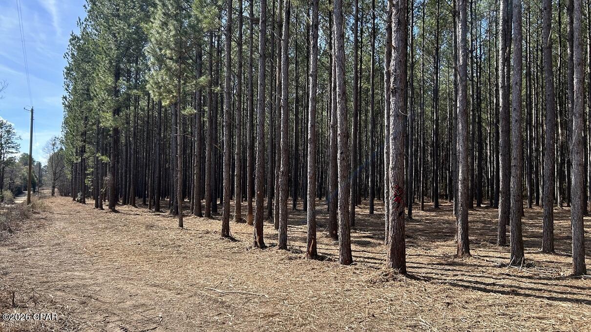 0 Grimes Road, Unit LOT #1 Laurel Hill, FL 32567 - Photo 4 of 27