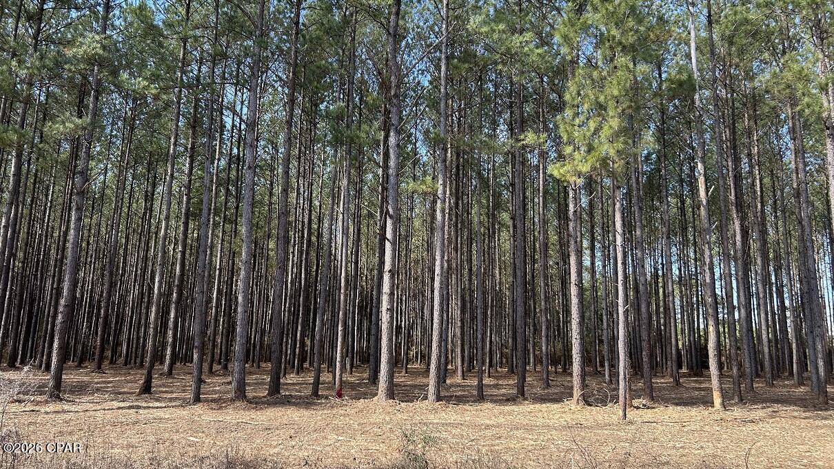 0 Grimes Road, Unit LOT #1 Laurel Hill, FL 32567 - Photo 5 of 27