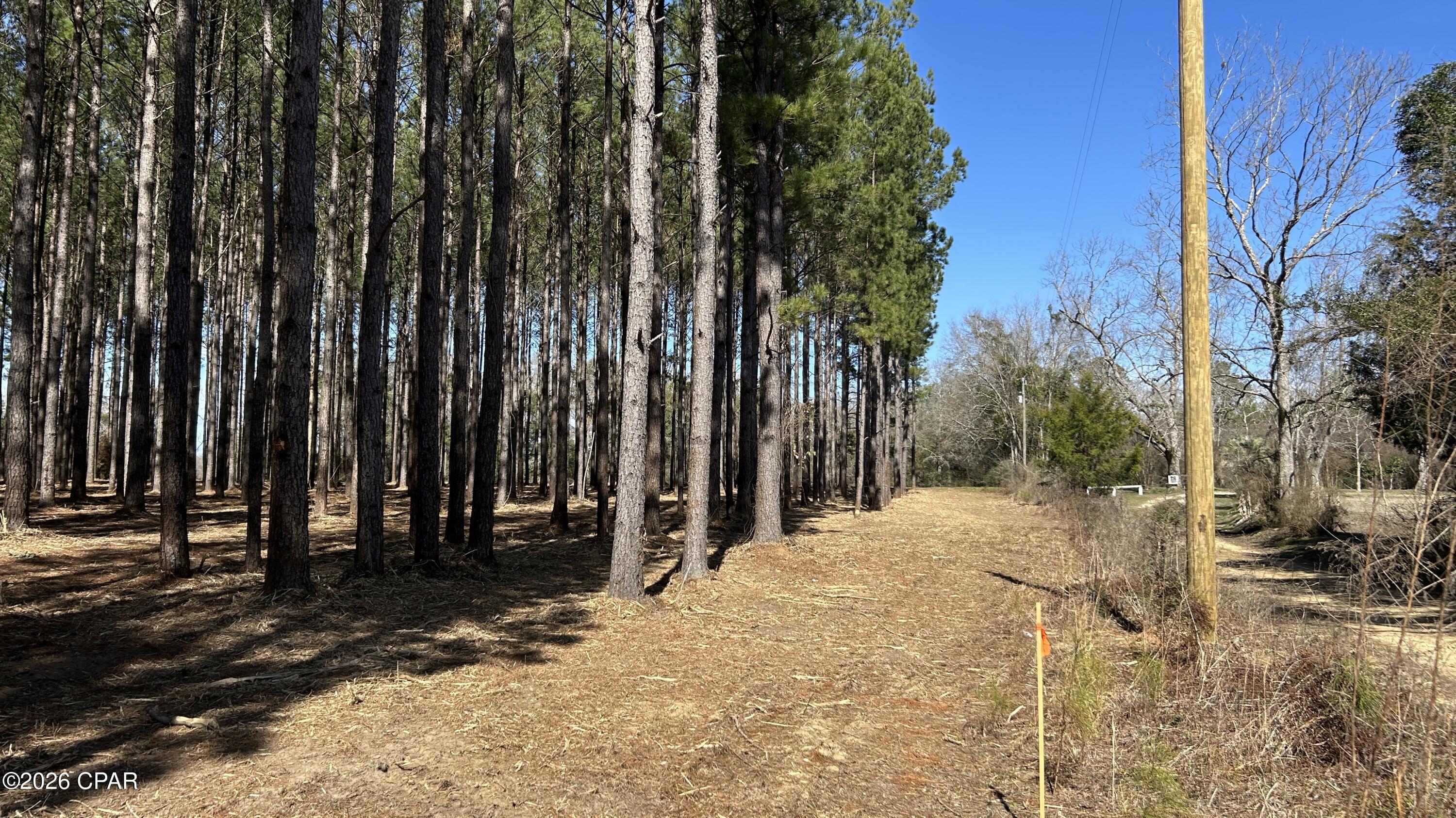 0 Grimes Road, Unit LOT #1 Laurel Hill, FL 32567 - Photo 6 of 27