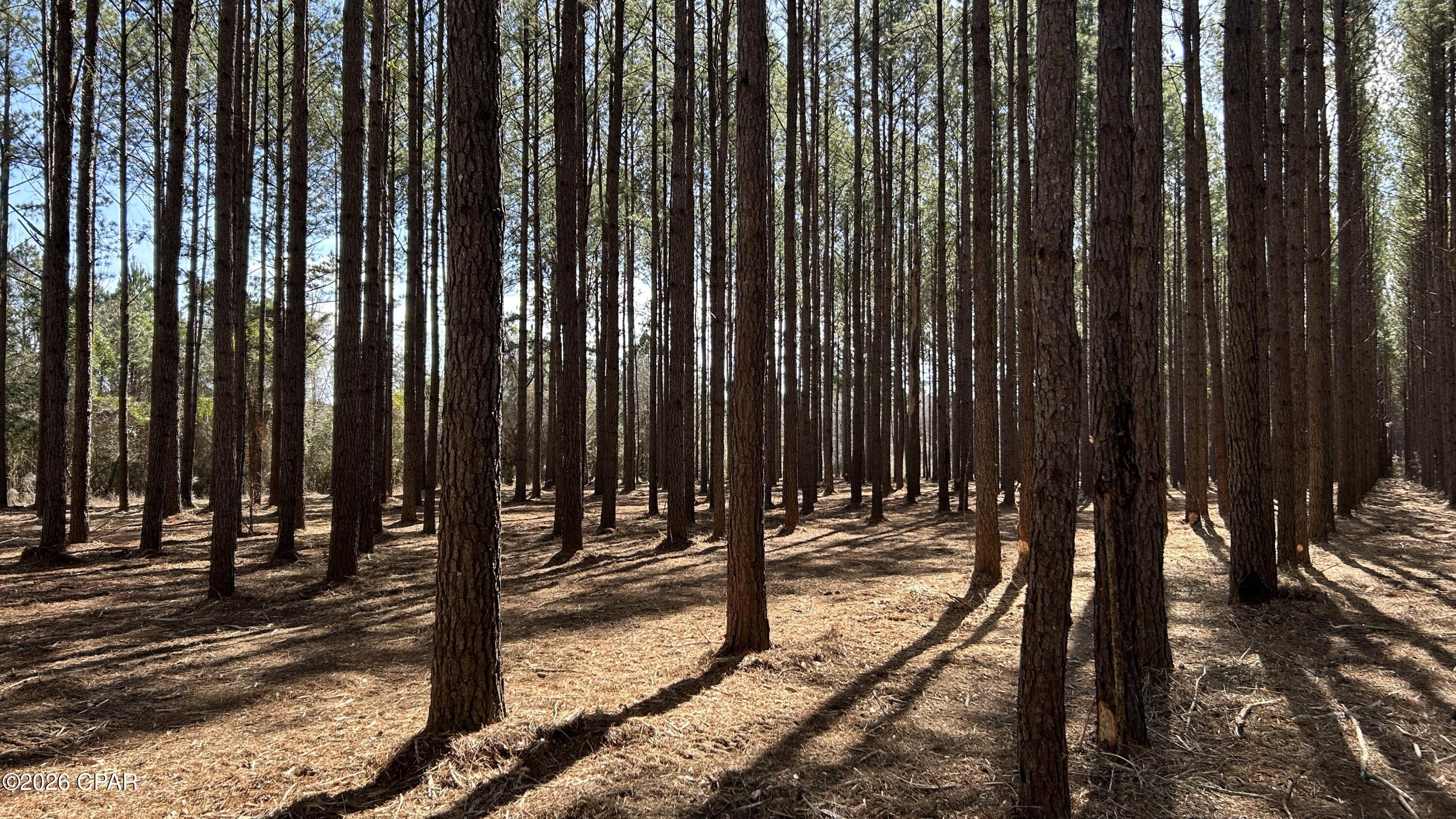 0 Grimes Road, Unit LOT #1 Laurel Hill, FL 32567 - Photo 7 of 27