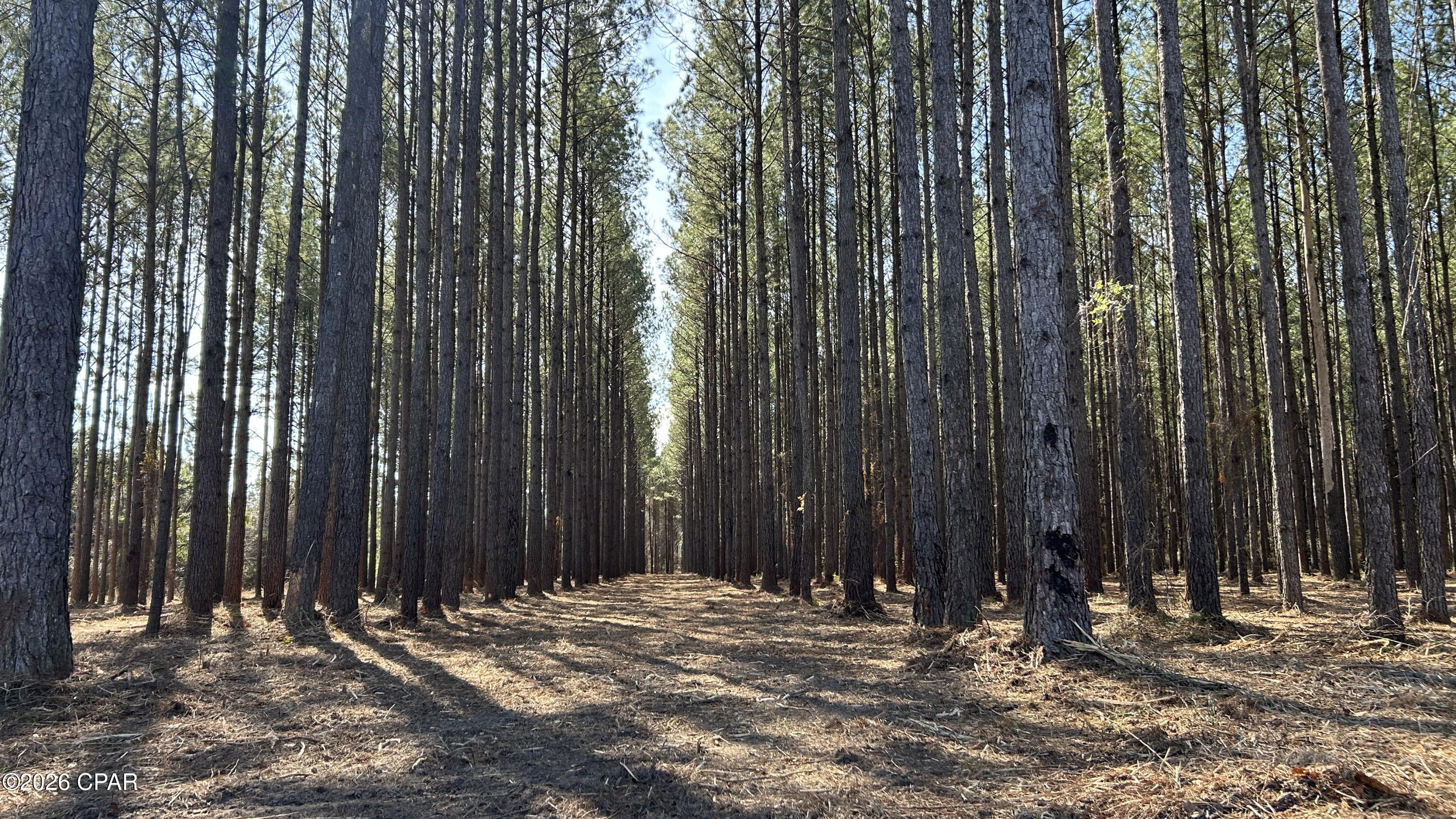 0 Grimes Road, Unit LOT #1 Laurel Hill, FL 32567 - Photo 8 of 27