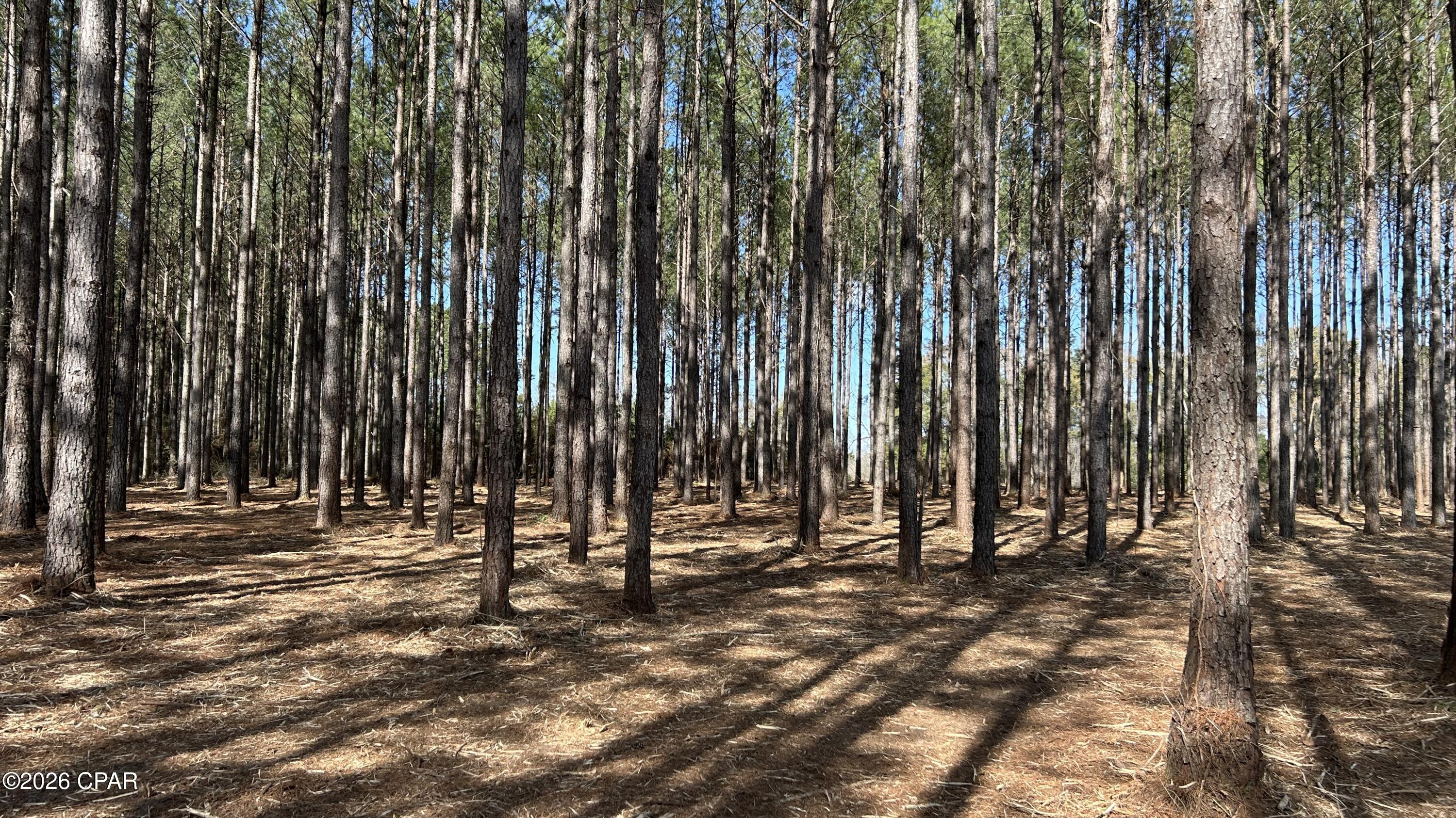 0 Grimes Road, Unit LOT #1 Laurel Hill, FL 32567 - Photo 9 of 27