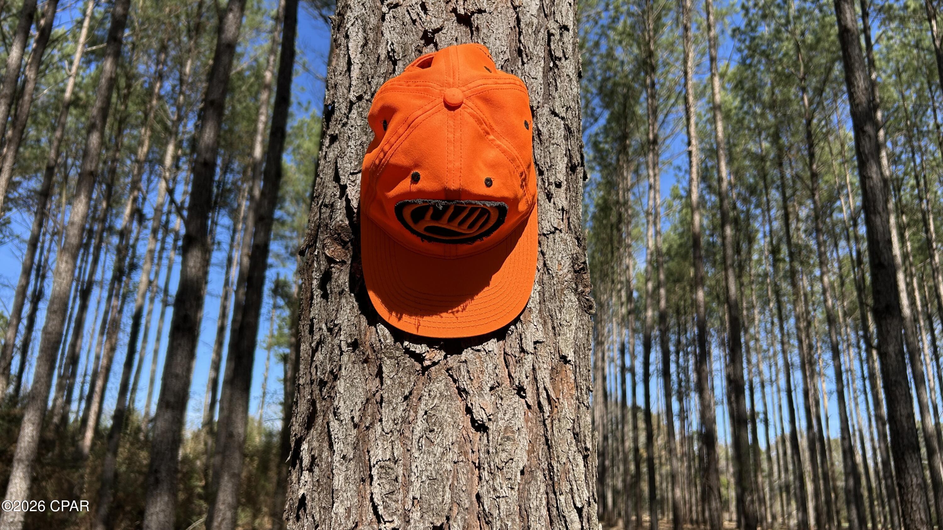 0 Grimes Road, Unit LOT #1 Laurel Hill, FL 32567 - Photo 10 of 27