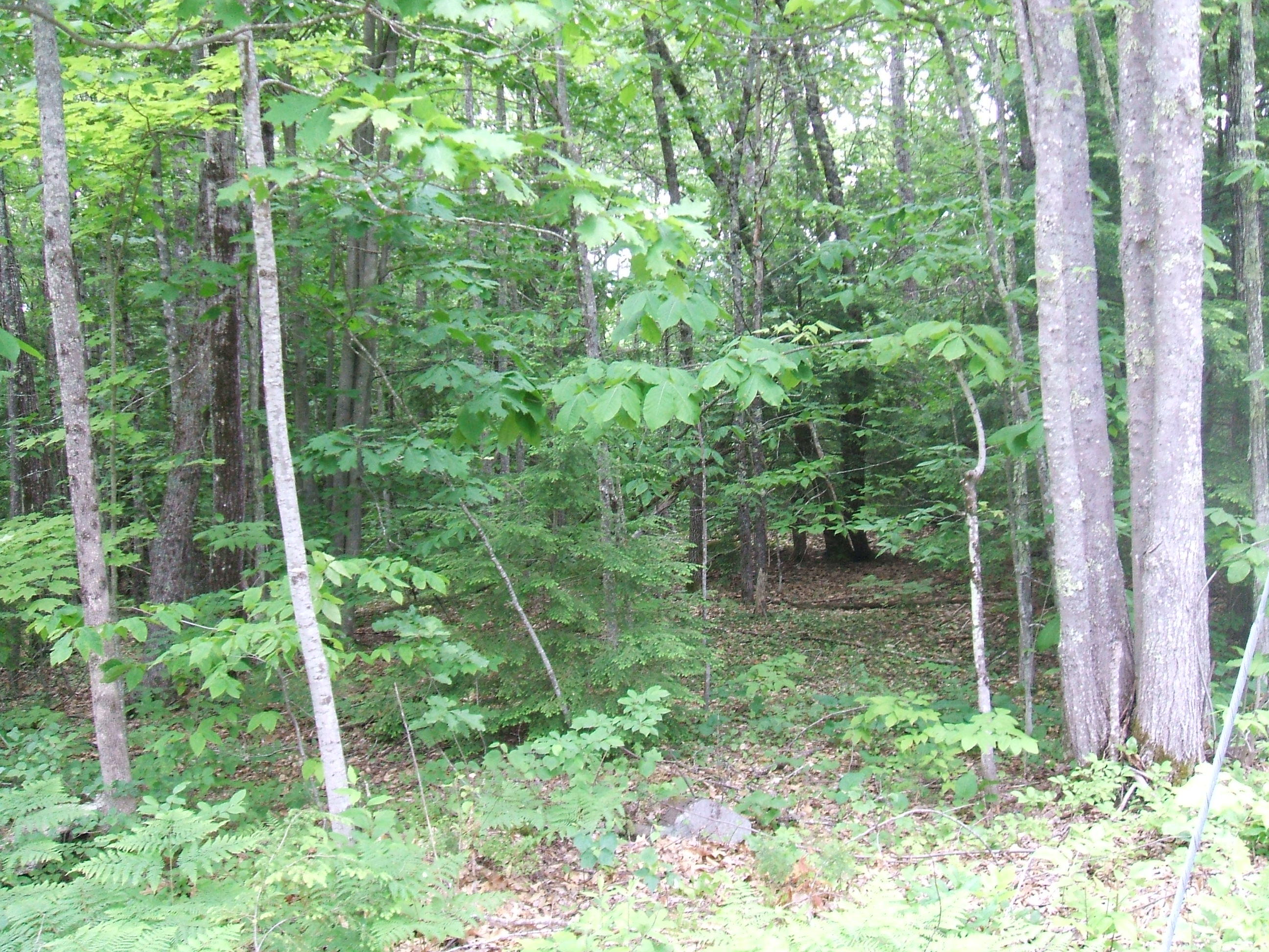 236 B Old Alfred Road Hollis Center, ME 04042 - Photo 3 of 10 DSCF2411