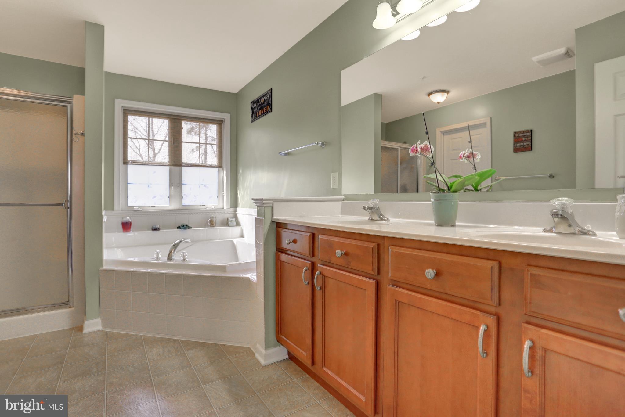 133 Cool Springs Road North East, MD 21901 - Photo 22 of 30 Bath (Master)
