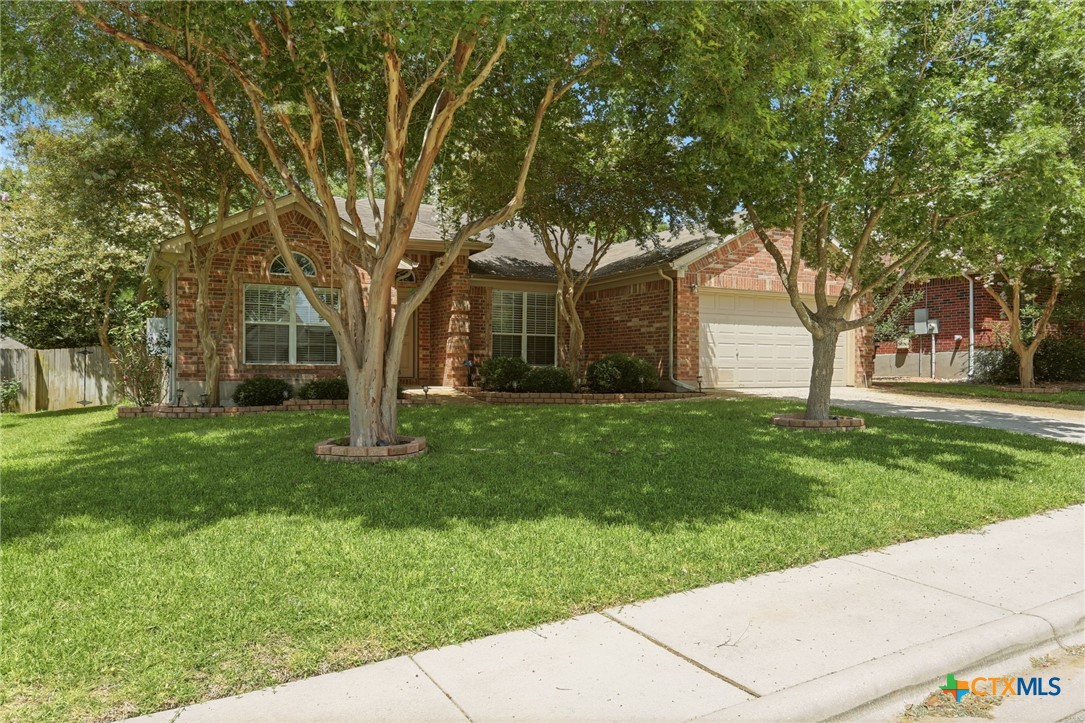 2208 Stonecrest Path New Braunfels, TX 78130 - Photo 1 of 23 Welcome to 2208 Stonecrest Path