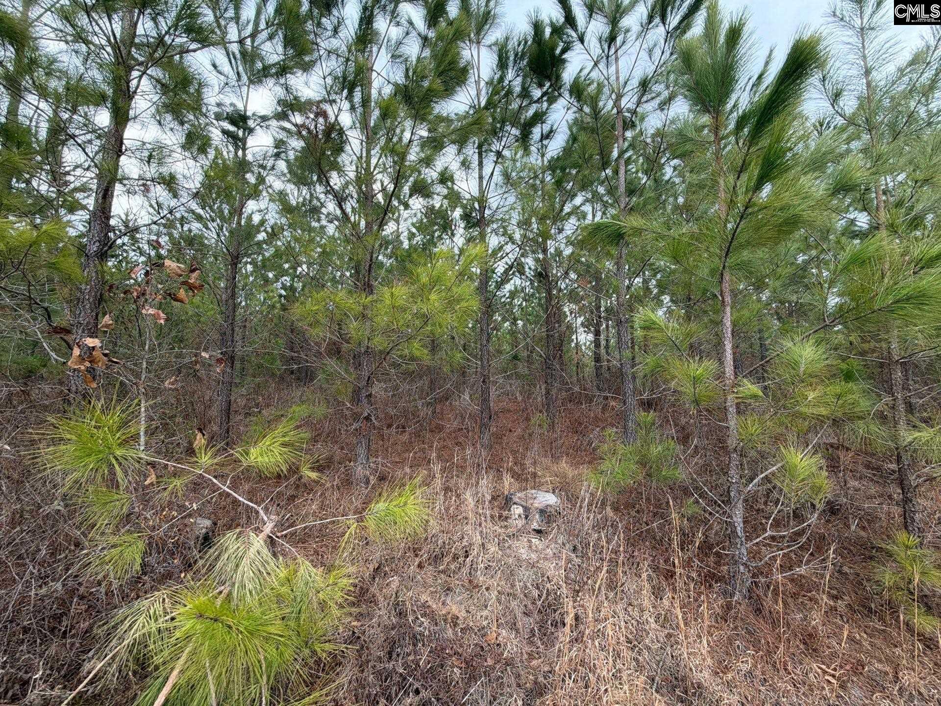 3 Jc Barefoot Road, Unit BFF II 3 Patrick, SC 29584 - Photo 11 of 23