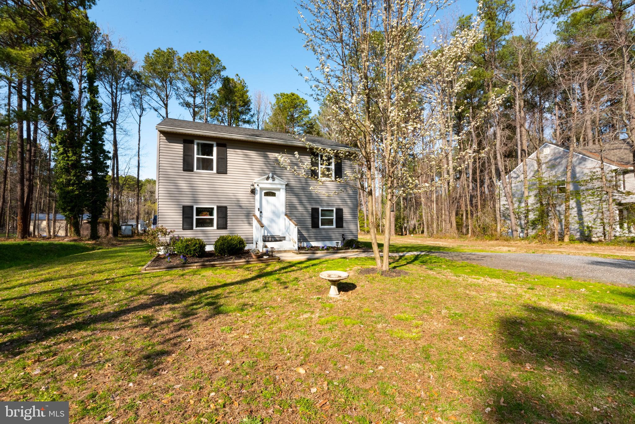 137 Wicomico Road Stevensville, MD 21666 - Photo 3 of 30