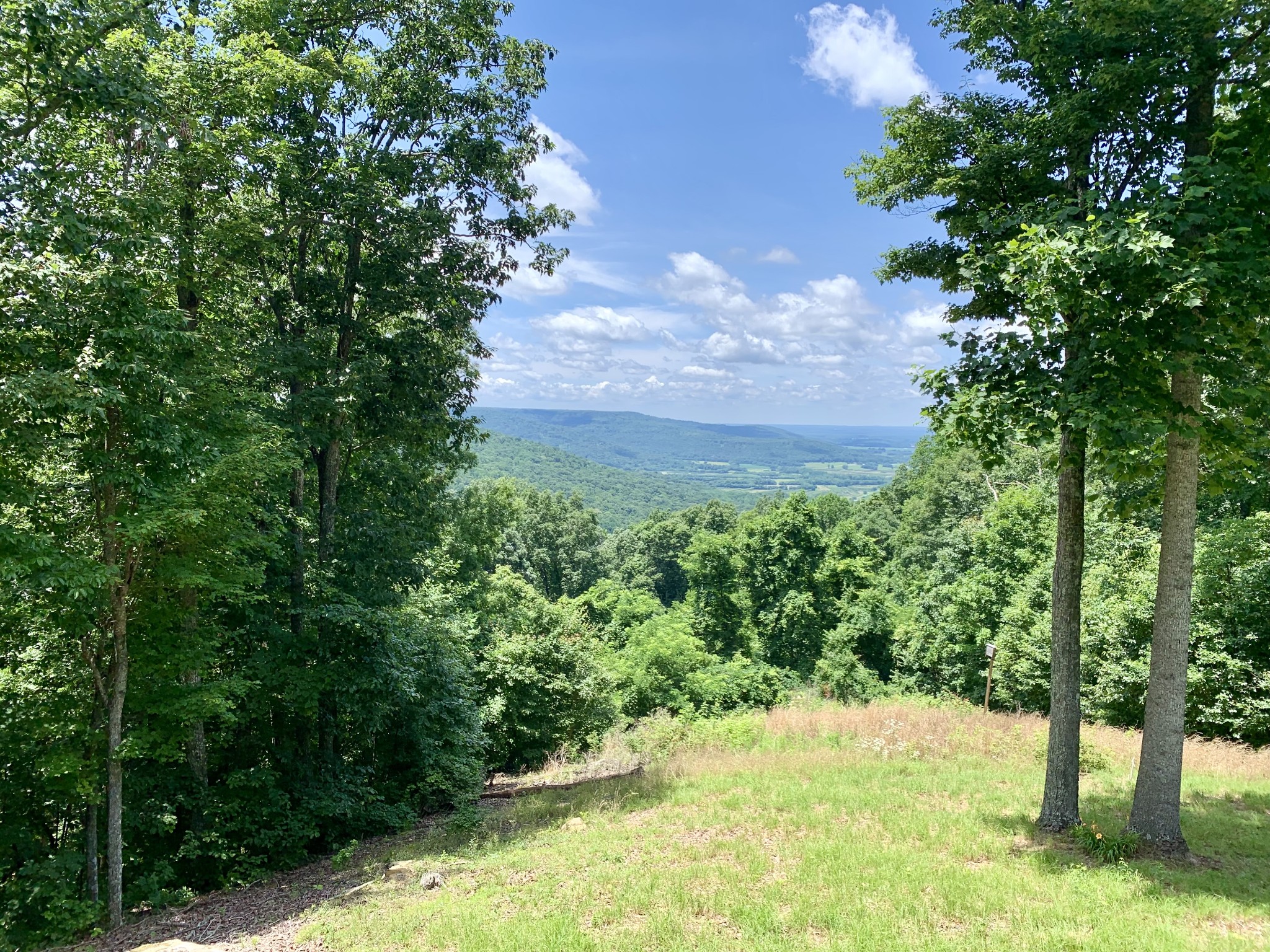 705 North Campbell Road Altamont, TN 37301 - Photo 50 of 58 a view of an outdoor space and a yard