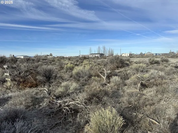 a view of a bunch of trees in a field