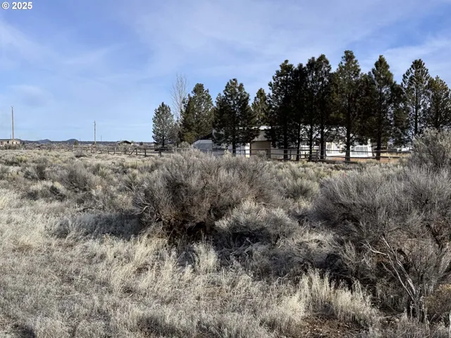 a view of a covered with trees in the background