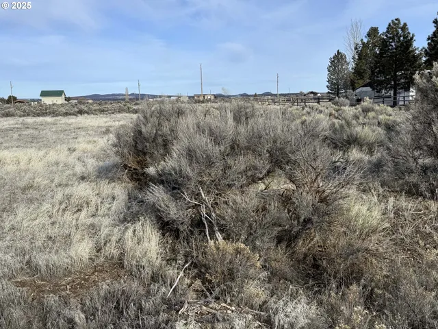 $10,000 | Elm Lane, Unit L5200, Christmas Valley, OR 97641