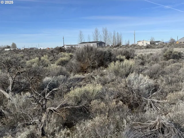 a view of a dry yard with trees