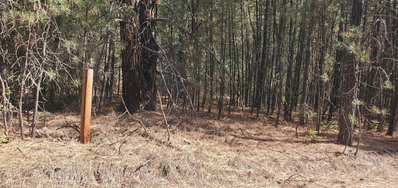 3733-xx Sand Creek Road Kettle Falls, WA 99141 - Photo 10 of 10