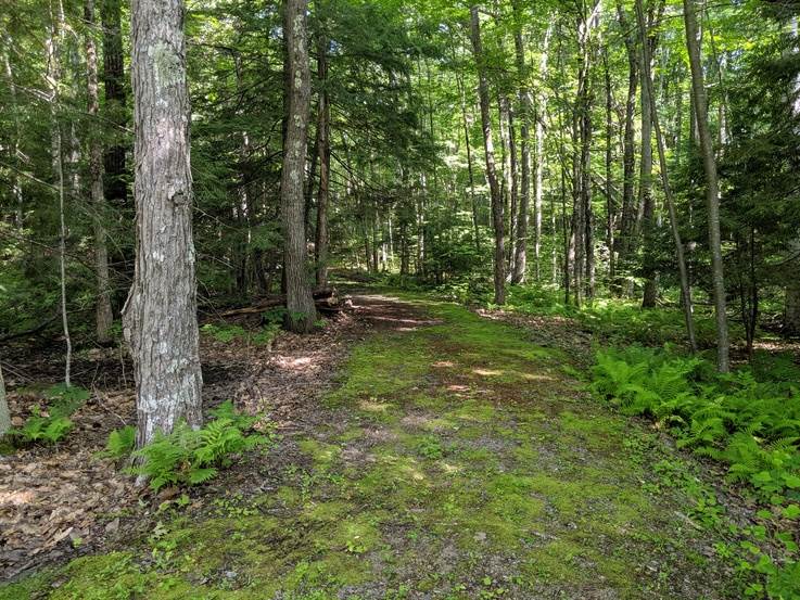 32 Old Center Harbor Road Meredith, NH 03253 - Photo 28 of 40 Gallery Image 28