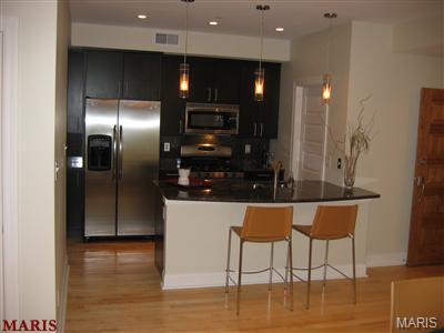 910 McKnight Road, Unit 1B University City, MO 63132 - Photo 4 of 21
