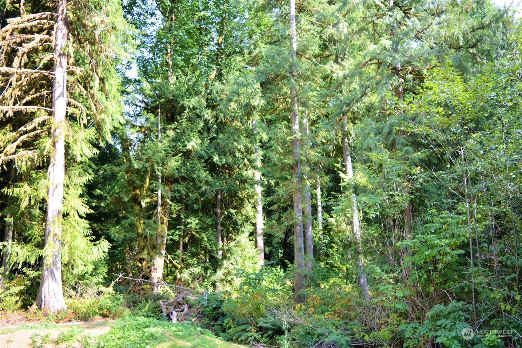 5-xxx Galbraith Road Acme, WA 98220 - Photo 14 of 19 Gallery Image 14