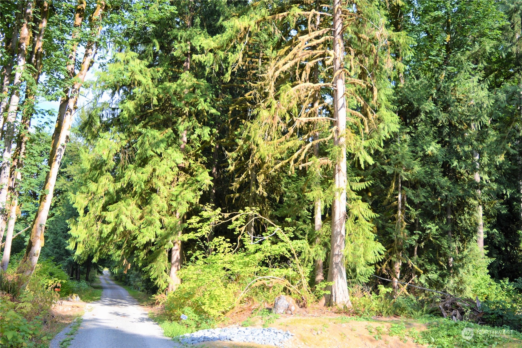 5-xxx Galbraith Road Acme, WA 98220 - Photo 18 of 19 Gallery Image 18