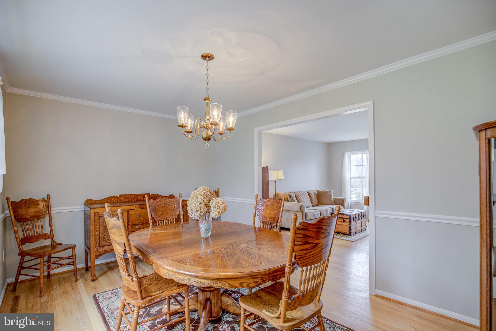 8921 Renshaw Court Springfield, VA 22153 - Photo 23 of 42 designer paint makes this level shine