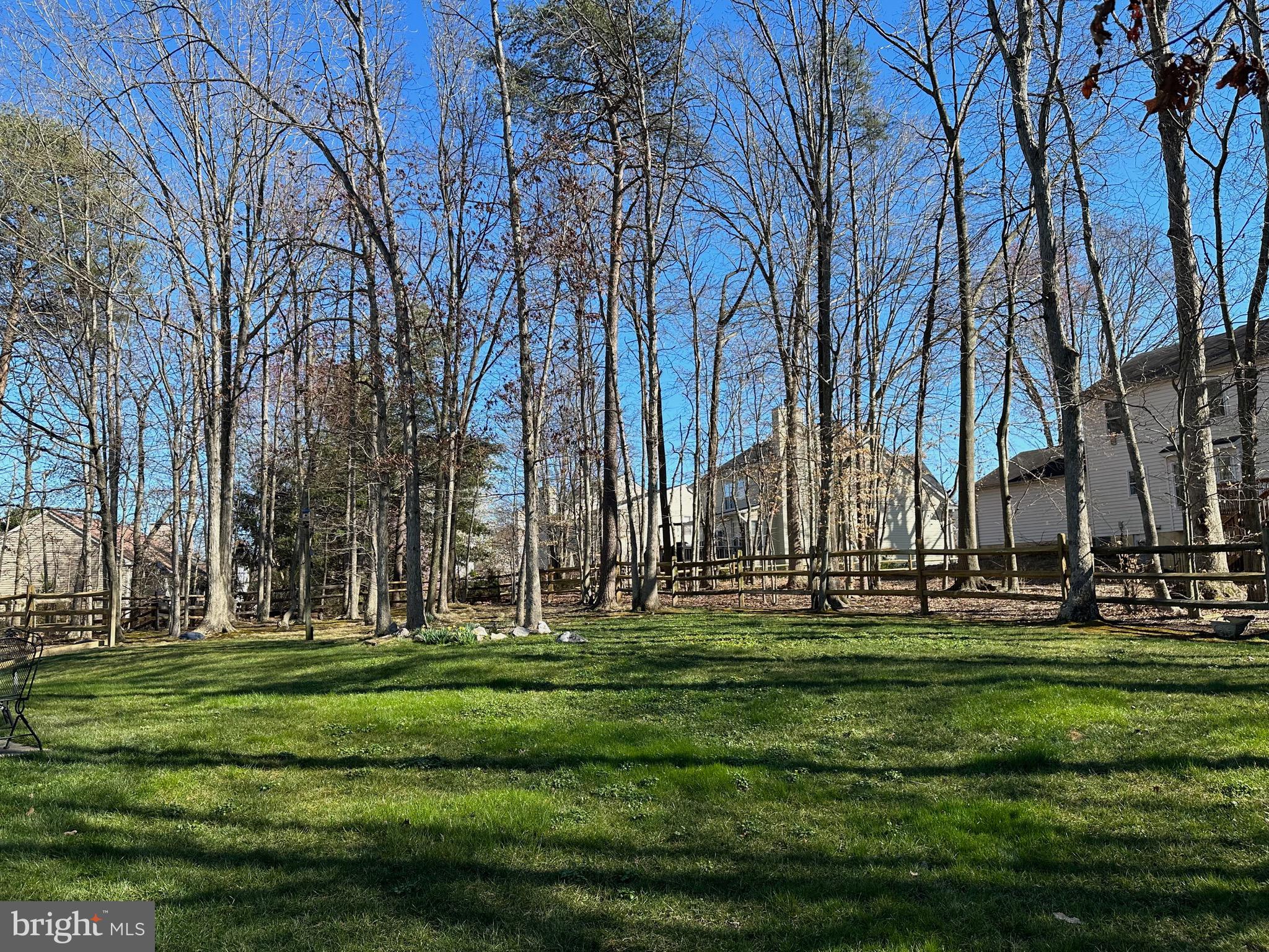 8921 Renshaw Court Springfield, VA 22153 - Photo 6 of 42 Trees are budding up for added privacy