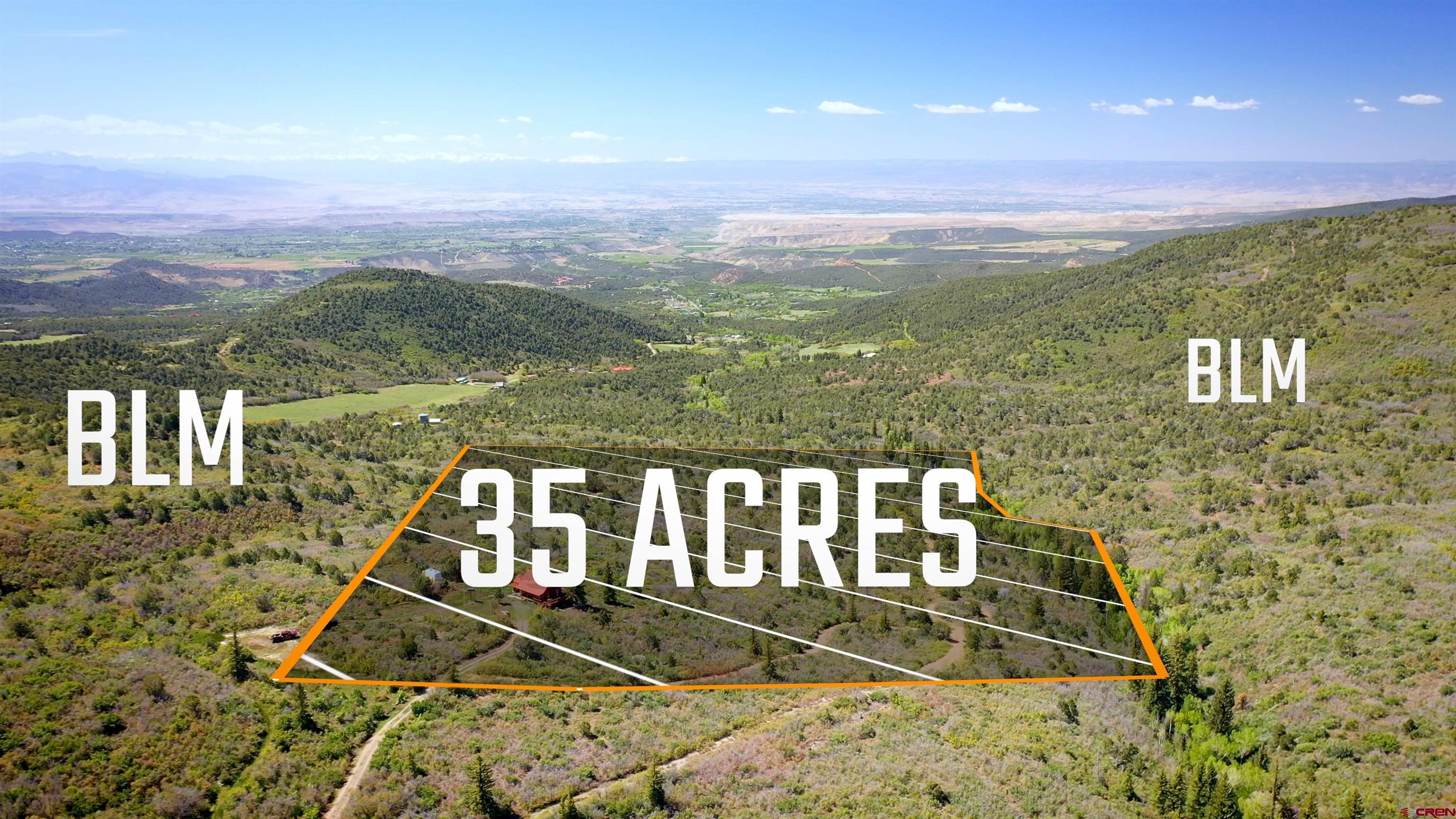 Lot 7 Aspen Hills Road Cedaredge, CO 81413 - Photo 14 of 42