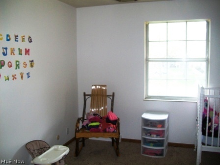 4193 New Road Austintown, OH 44515 - Photo 14 of 24