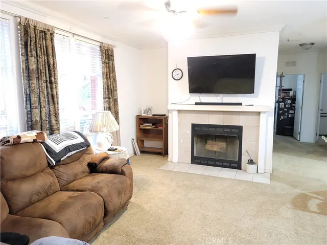 a living room with furniture a flat screen tv and a fireplace