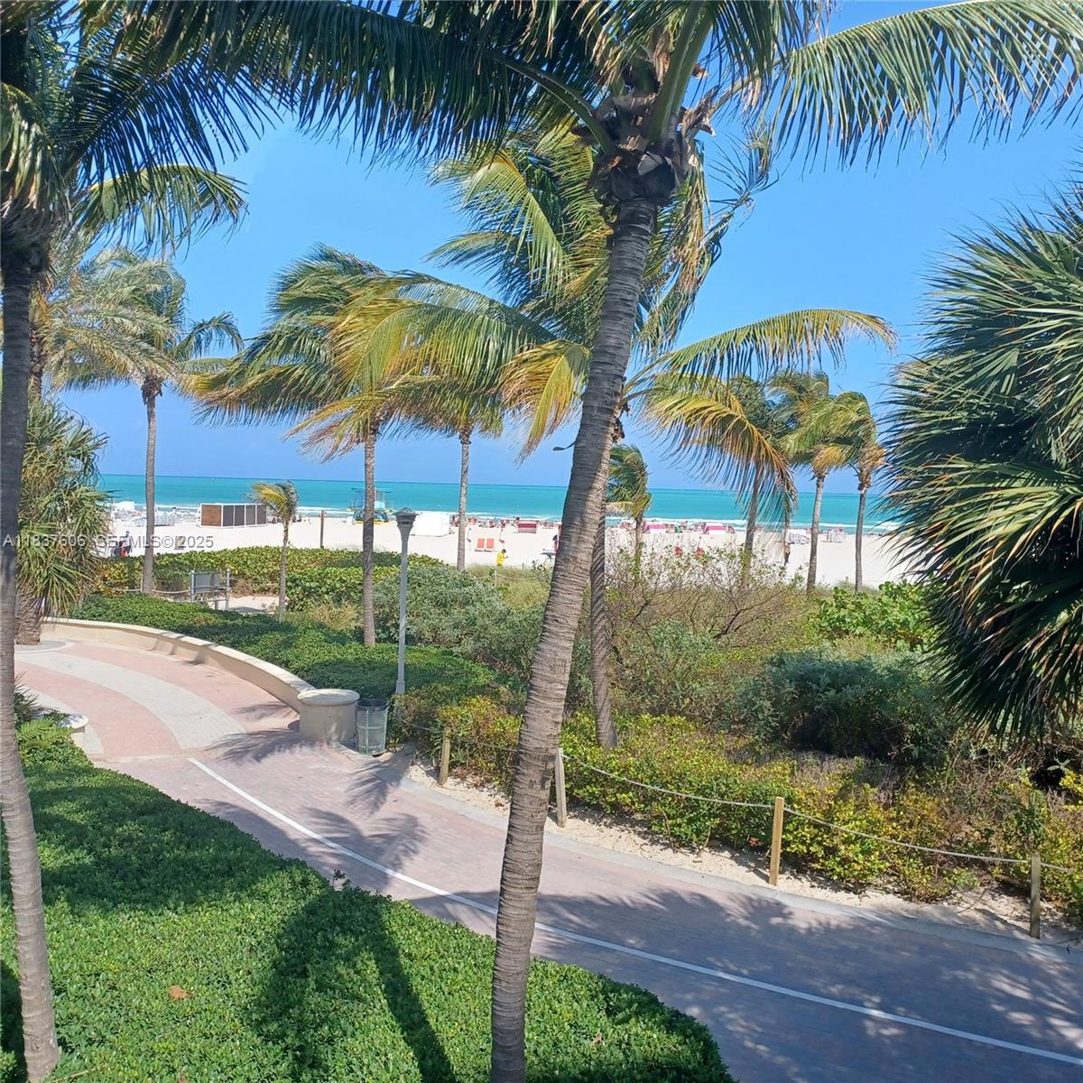 100 Lincoln Road, Unit 1206 Miami Beach, FL 33139 - Photo 18 of 18 a view of a yard and palm trees