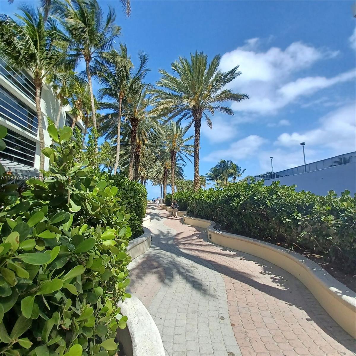 100 Lincoln Road, Unit 1206 Miami Beach, FL 33139 - Photo 4 of 18 a view of a garden with a potted plants