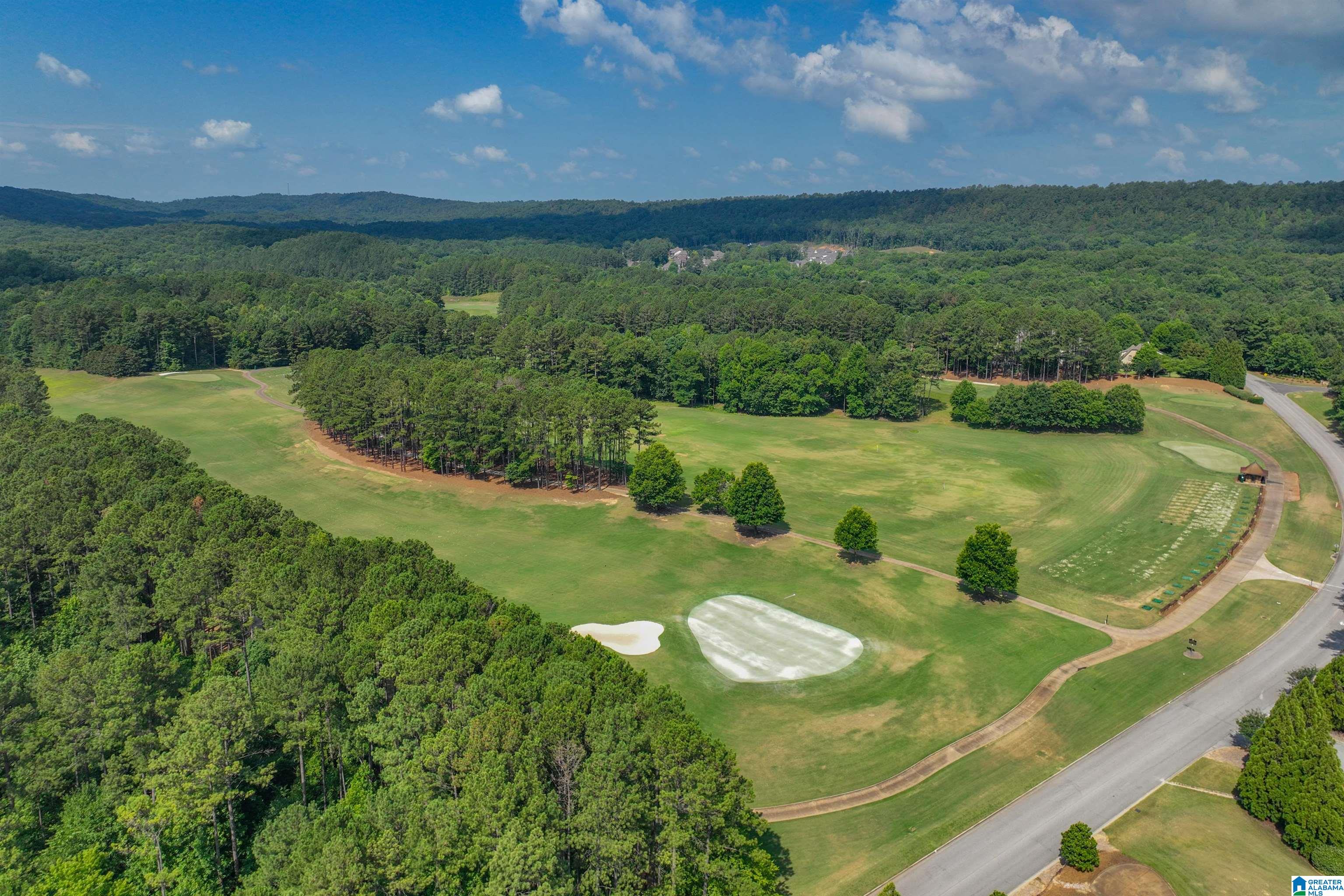 346 Kinross Circle Pelham, AL 35124 - Photo 53 of 56