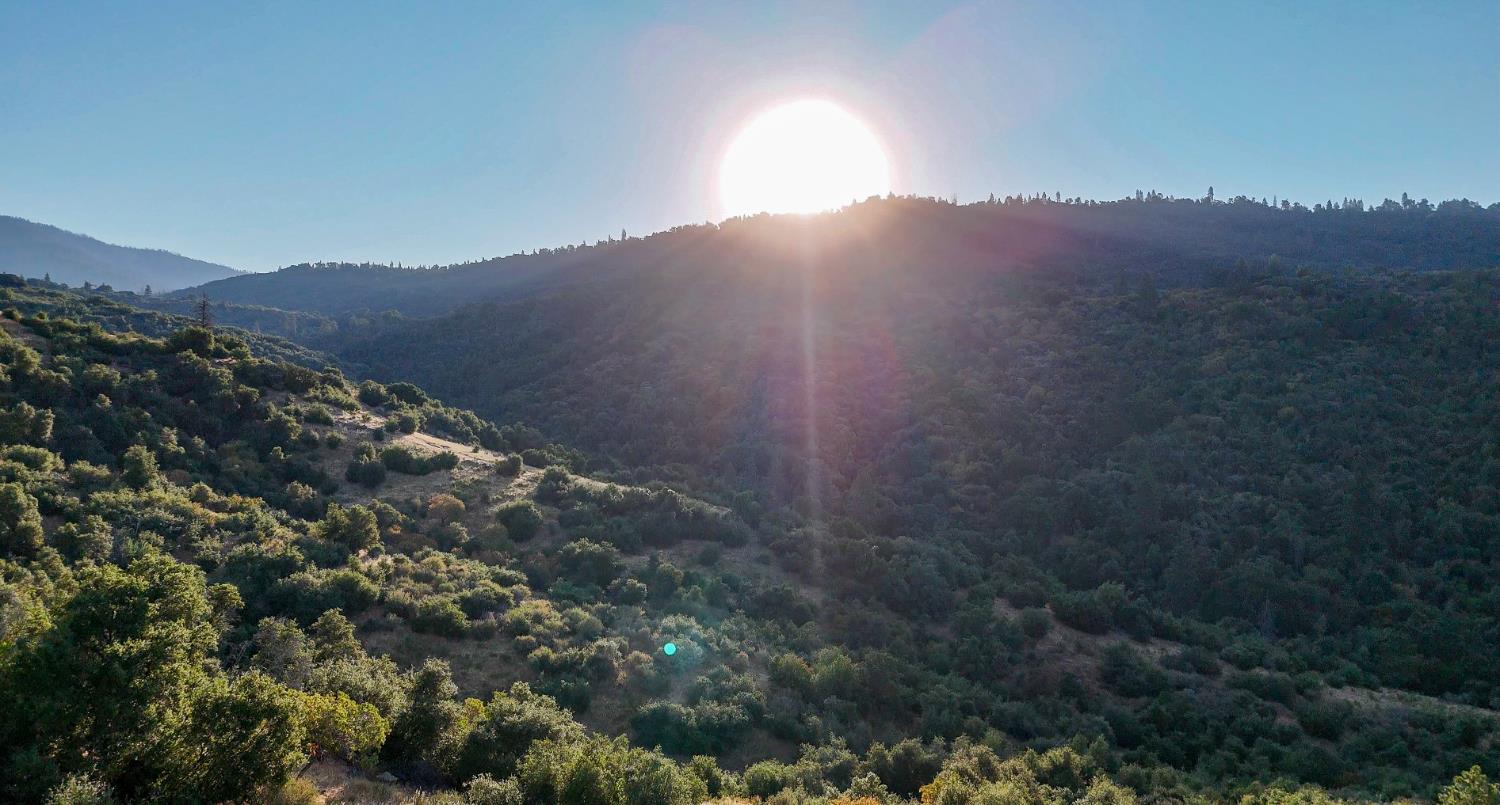 0 Whitaker Forest Road Miramonte, CA 93603 - Photo 16 of 78
