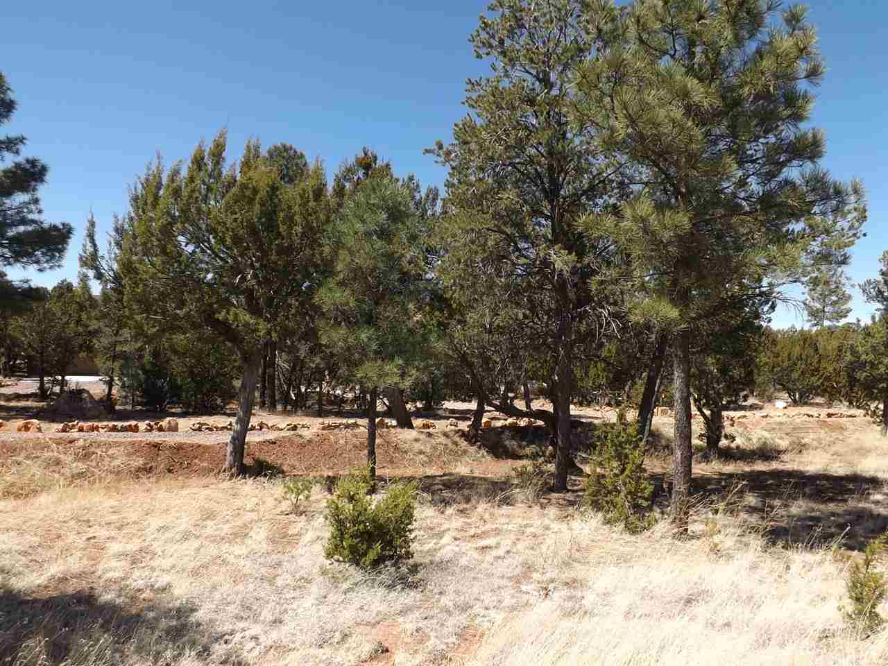 3317 Lodgepole Road Overgaard, AZ 85933 - Photo 3 of 10 a view of outdoor space with trees