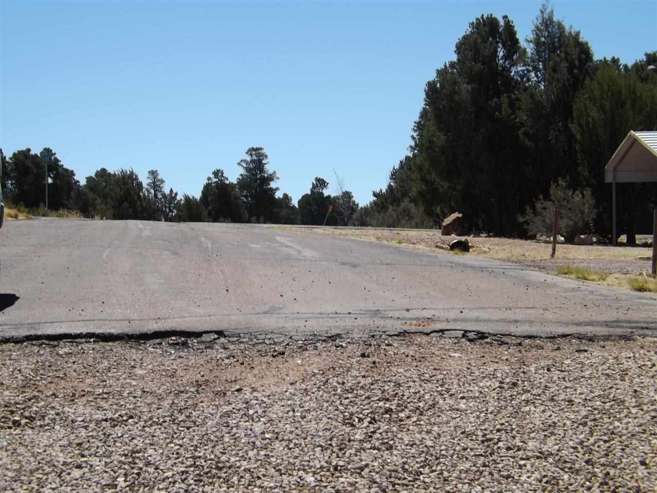 3317 Lodgepole Road Overgaard, AZ 85933 - Photo 7 of 10 a view of a backyard of a house