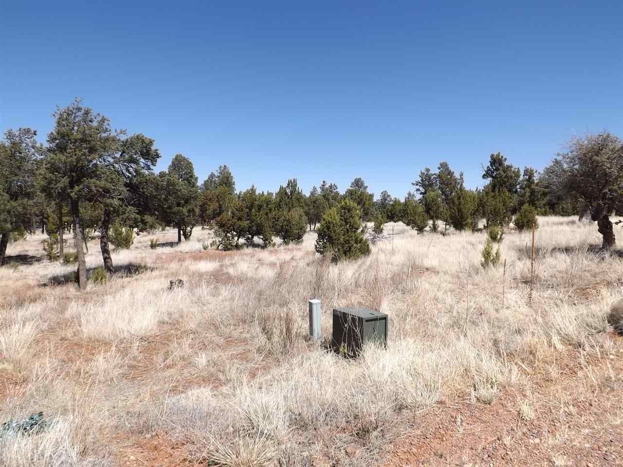 3317 Lodgepole Road Overgaard, AZ 85933 - Photo 9 of 10 a view of a dry yard covered with snow