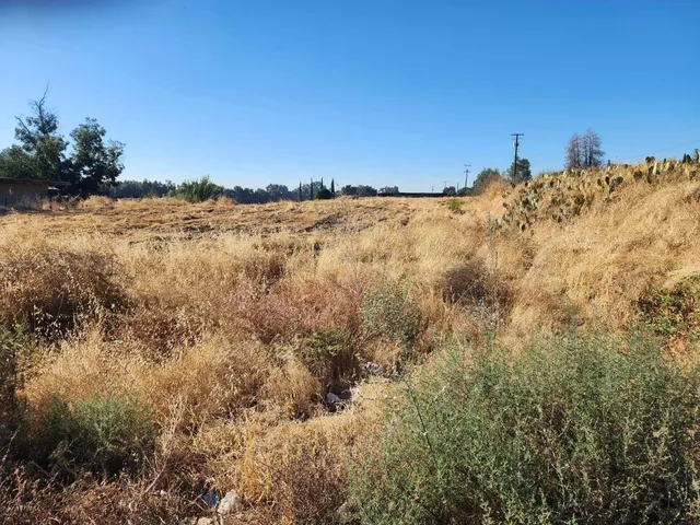 $1,199,000 | 17689 Manning Avenue, Reedley, CA 93654