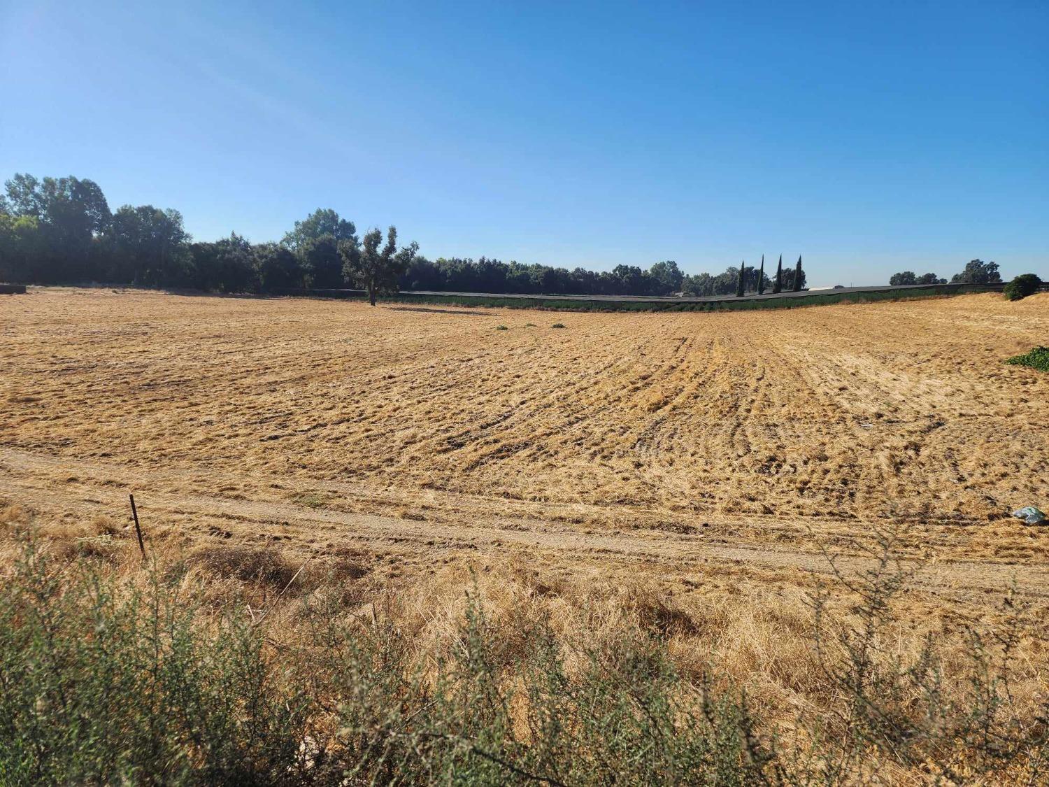 17689 Manning Avenue Reedley, CA 93654 - Photo 9 of 16