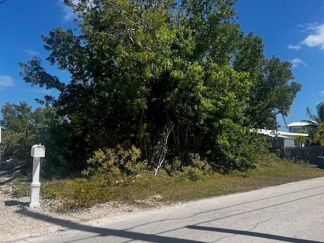 a view of a tree in front of a building