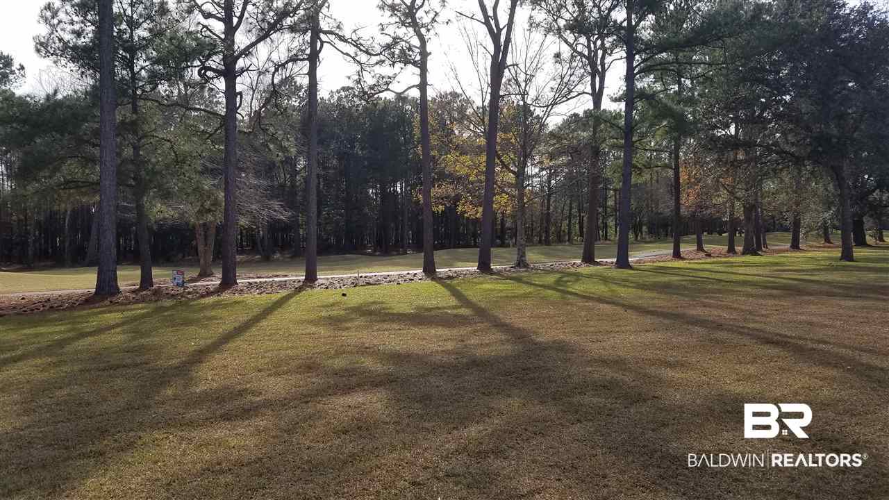 4137 Craigend Loop Gulf Shores, AL 36542 - Photo 49 of 49