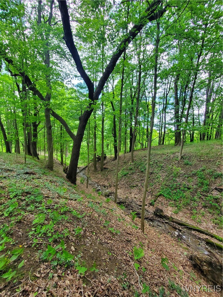 7200 Kent Road Little Valley, NY 14755 - Photo 16 of 43