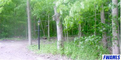 8829 Heffelfinger Road Churubusco, IN 46723 - Photo 2 of 4