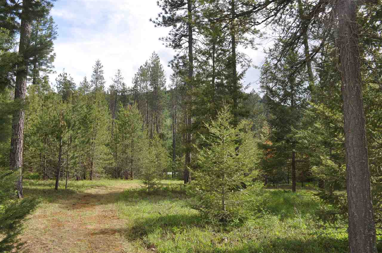 8240 Scotia Road Newport, WA 99156 - Photo 19 of 20 Gallery Image 19