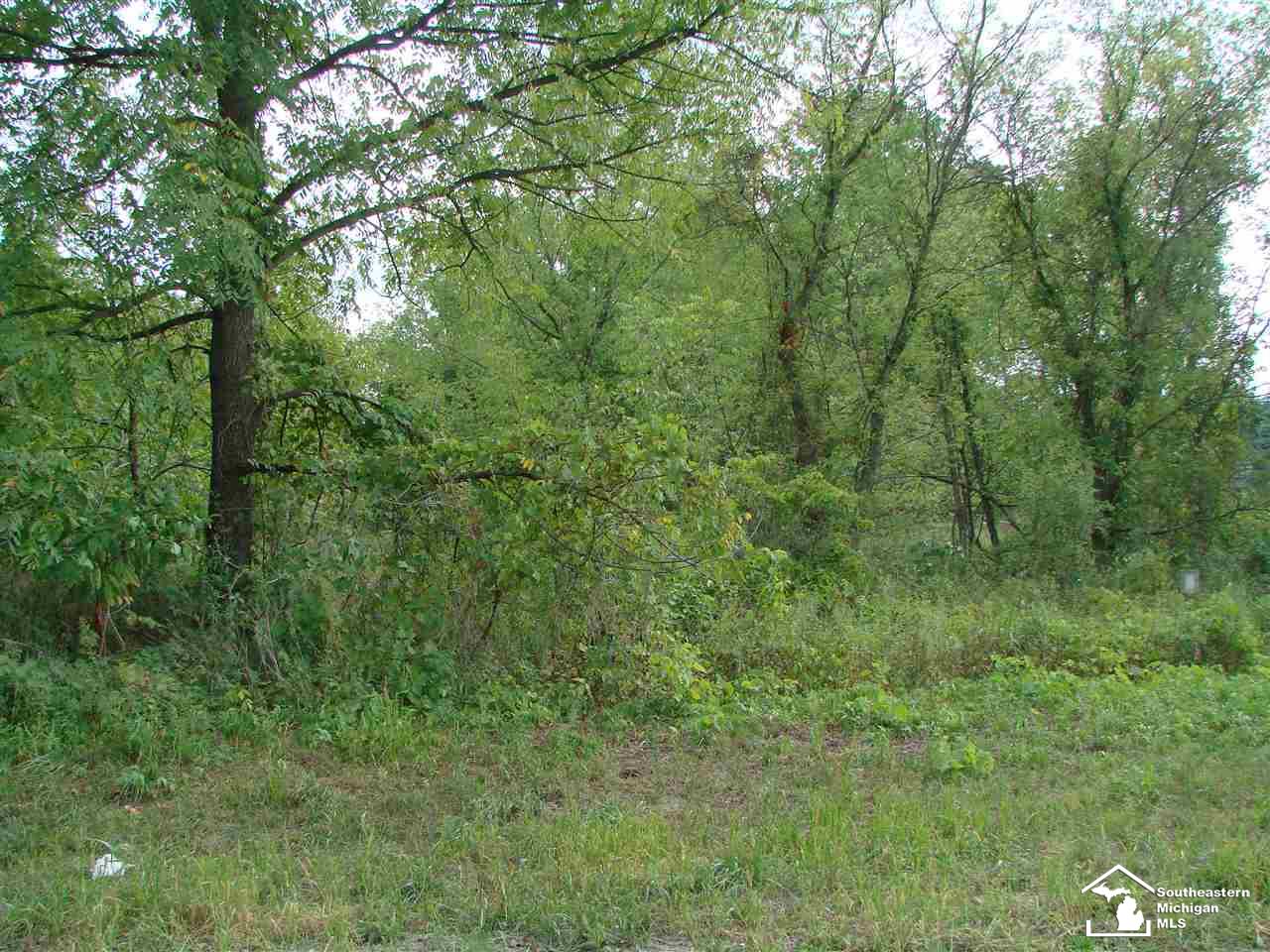 0 Wells Road Petersburg, MI 49270 - Photo 4 of 5