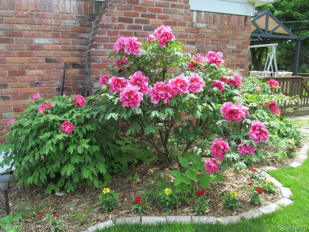 461 Gunder Drive Rochester Hills, MI 48309 - Photo 24 of 29