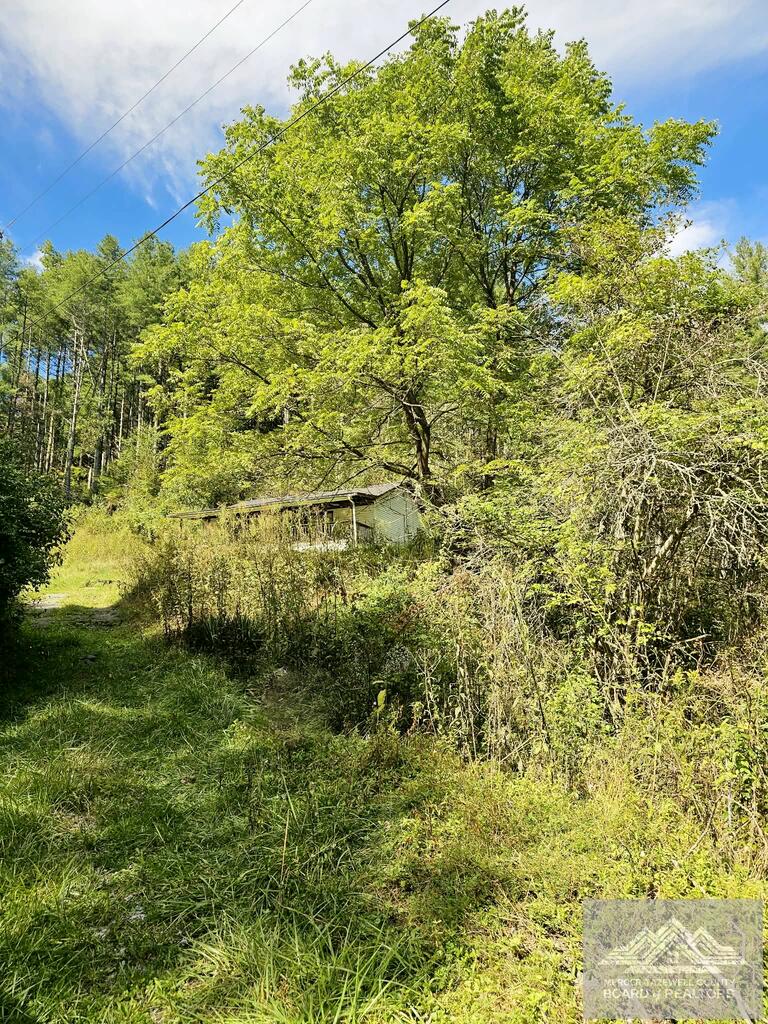 9575 Mud Fork Road Bluefield, VA 24605 - Photo 1 of 7 Gallery Image 1