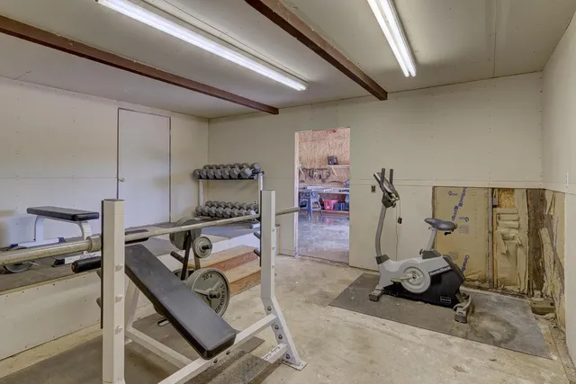 a view of a field with trees in background