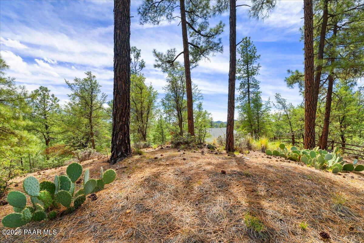 5588 Mountain View Prescott, AZ 86305 - Photo 40 of 45 a backyard of a house with lots of green space