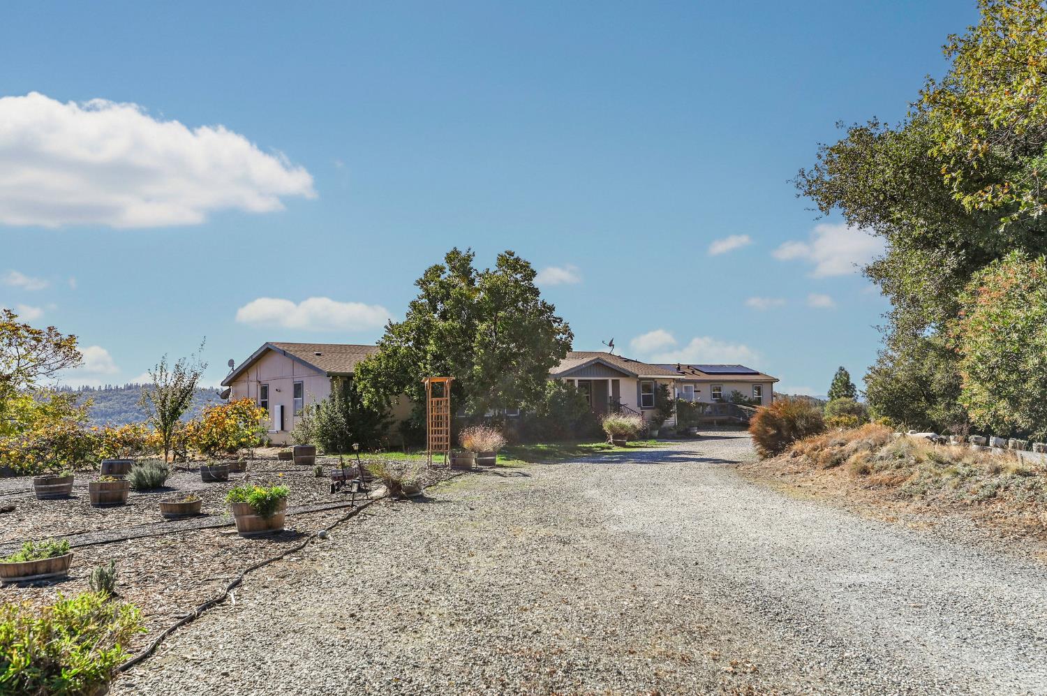 3770 Sheep Ranch Road Murphys, CA 95247 - Photo 66 of 92