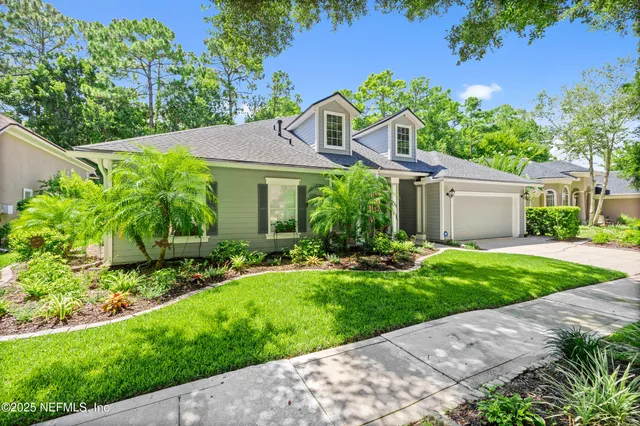 a view of a garden with plants and large trees